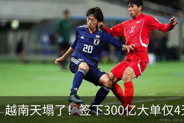 越南天塌了！签下300亿大单仅4天，中国新出一项公告，项目或流产